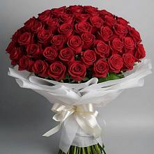 101 Красная роза Блэк Мэджик в Майский Тульская область Букет 101 Красная роза Блэк Мэджик в Майский Тульская область