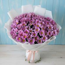 Букет сиреневая охапка в Майский Тульская область Букет цветов из:  Хризантемы в Майский Тульская область