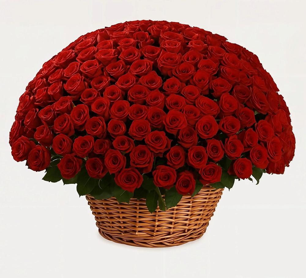 251 Премиум красная роза в Майский Тульская область Премиум букет из: Розы в Майский Тульская область