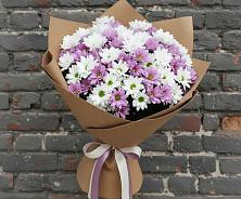 Букет цветов из:  Хризантемы в Майский Тульская область