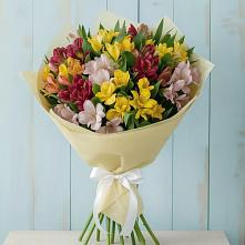 Букет цветов из:  Альстромерии в Майский Тульская область