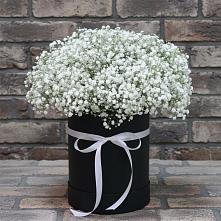 Композиция коробка гипсофил в Майский Тульская область Цветочная композиция из Гипсофила в шляпной коробке в Майский Тульская область