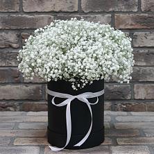 Композиция коробка гипсофил в Майский Тульская область Цветочная композиция из Гипсофила в шляпной коробке в Майский Тульская область