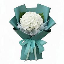 Букет цветов из:  Гортензия в Майский Тульская область